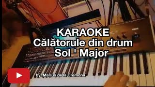 Călătorule din drum Sol  Maj  KARAOKE cover Ion Dolănescu [upl. by Imalda]