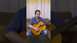 Yerevan Erebuni Guitar Solo Cover [upl. by Eninotna]