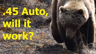 45 Auto for Bear Defense [upl. by Chrisman]