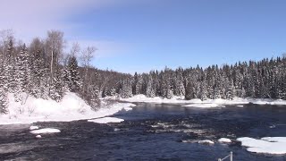 The Woodpecker Snowmobiling in February [upl. by Gefell]