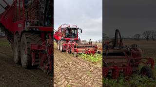 Working in the field with the Vervaet Beet Harvester [upl. by Shuping]