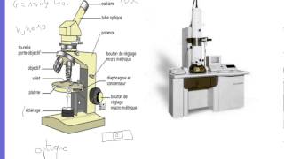 Biologie Cellule  La cellule vue au microscope optique [upl. by Acirrehs]