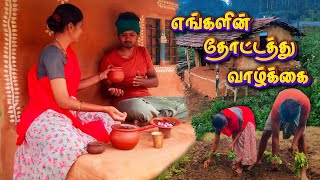 Our DAILY LIFE in VILLAGE FARM  RURAL LIFE in MUD HOUSE  Tamil Native Farmer [upl. by Rozanna]