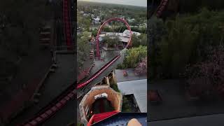 SheiKra ​⁠POV buschgardensflorida  buschgardenstampa coaster [upl. by Gualterio419]