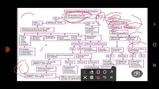 how to deal with case of primary amenorrhia [upl. by Novart]