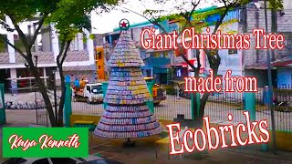 Giant Ecobricks Christmas Tree made from recycled plastic bottles and plastic sachetsplastic bags [upl. by Attenohs381]