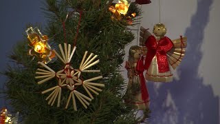 Ukrainische Familie feiert erstes orthodoxes Weihnachtsfest in neuer Heimat Österreich  AFP [upl. by Eleirbag399]