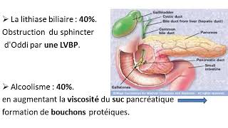 pancreatite aigue Dr Bensetti [upl. by Kinsman79]