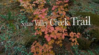 Squaw Valley Creek Trail [upl. by Enatan]