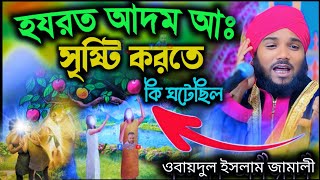 হযরত আদম আঃ সৃষ্টির ঘটনা┇obaidul islam jalsa┇ওবায়দুল ইসলাম জামালী┇9734312470┇obaidul islam┇jalsa [upl. by Ailecec]