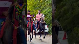 horse riding status  ram gadhavi  heer horse horse ghodi kathiyawadighodi ghodo shorts [upl. by Skutchan380]