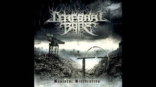 Cerebral Bore  Flesh Reflects The Madness Official Audio [upl. by Antonin]