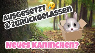 ausgesetzt amp zurückgelassen  Neues Kaninchen [upl. by Allenrac]