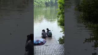 Rupkothar jogote bangla song shorts video chorki networkerbaire viralvideo love viralshorts [upl. by Daven]