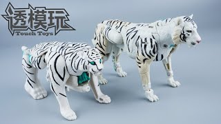 【SwiftTransform】NewampOld TIGATRONBEAST WARS KINGDOM TIGATRON WAR FOR CYBERTRON 王国超能勇士 变形金刚 透模玩速变 [upl. by Alohcin807]