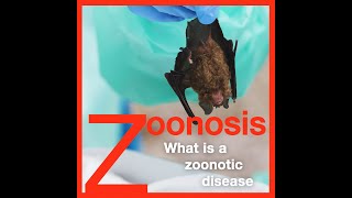 Zoonosis What is a Zoonotic Disease [upl. by Mollee]