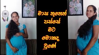 2nd Trimester 🤰 දෙවන මාස තුන [upl. by Laddie566]