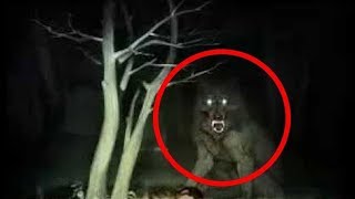 Top 10 Werewolf Caught On Camera amp Spotted In Real Life [upl. by Yllek]