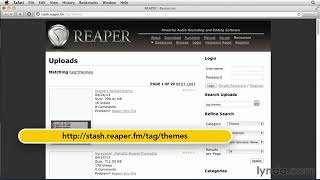 Reaper Tutorial  Setting the default theme and appearance [upl. by Annahsirhc]