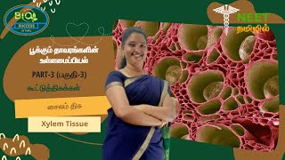 Anatomy of Flowering Plants  Part 3  Complex Tissue  Xylem Tissue  NEET Tamil [upl. by Aleka94]