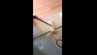 Whitewashing the hardwood floors [upl. by Kauffmann]