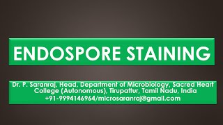 Endospore Staining [upl. by Airotna]