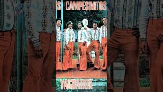 LOS CAMPESINITOS DE YAGUARON paraguay musicaparaguaya polkaparaguaya 80s [upl. by Llekcir]