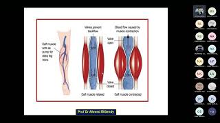 Venous return amp cardiac output [upl. by Atinus]