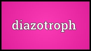 Diazotroph Meaning [upl. by Australia]