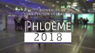 Phloème 2018  ARVALISinfosfr [upl. by Urbai56]