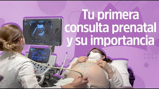 Consulta prenatal y lo que pasará la primera vez  Reina Madre [upl. by Yasnil]