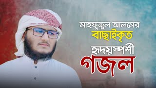 মাহফুজুল আলমের বাছাইকৃত হৃদয়স্পর্শী গজল । Kalarab  Mahfuzul Alam [upl. by Witcher]