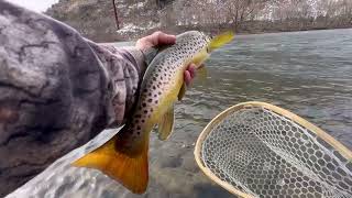 Trout Fishing At Lehigh River Gorge State Park  Tough Day [upl. by Ahsatsana]