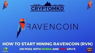 How to start mining Ravencoin RVN on pool with NVIDIA and AMD GPUs UPDATED [upl. by Ahseikal679]