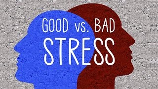 Good Stress Vs Bad Stress [upl. by Ertemed87]