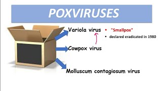 Poxvirus Smallpox Molluscum contagiosum [upl. by Krum633]