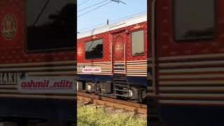 🇮🇳MAHARAJAS EXPRESSINDIAN RAILWAYLUXURIOUS TRAIN🇮🇳indianrailwaysluxurioustrain ytshorts [upl. by Natalya]