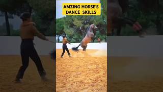 HORSES SKILLS  AMZING DANCE horse horsedance skills [upl. by Onilatac]