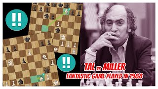 TAL vs MILLER  1988  A fantastic Game with mutual risk and the threat of checkmate [upl. by Abihsot342]