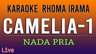 CAMELIA KARAOKE RHOMA IRAMA [upl. by Yentrac213]