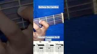 Belleza de Cantina Los Cardenales de Nuevo León  Tutorial de Guitarra short shorts [upl. by Nashom]