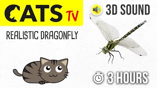 CATS TV  Realistic Dragonfly  3 HOURS Entertainment Video for Cats amp Dogs to Watch [upl. by Naomi]