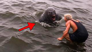 30 Strange Creatures That Were Caught on Camera [upl. by Ahel29]