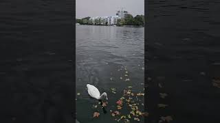 Treptower Park Berlin Germany 🇩🇪 Beautiful Like and subscribe Thanks [upl. by Arakat]