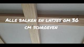 tips en trucs badkamer plafond maken [upl. by Nakre]