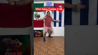 Mini Salsa Tutorial  66 [upl. by Eremahs]