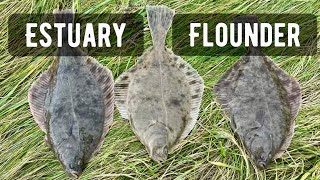 Is this the best flounder estuary in Britain Flounder on the Loughor [upl. by Nnaihs437]