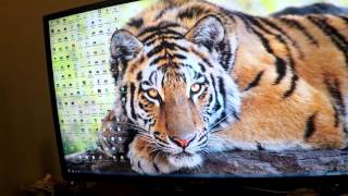 BT UHD YOUVIEW BOX 4K on a PC monitor [upl. by Itak65]