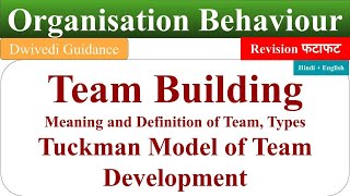 Team Building in organisational behaviour Tuckman Model of Team Development process of team build [upl. by Gney681]