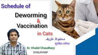 Cats deworming and vaccination schedule  Best vaccine for cat  Best dewormer for cat amp kitten [upl. by Labanna146]